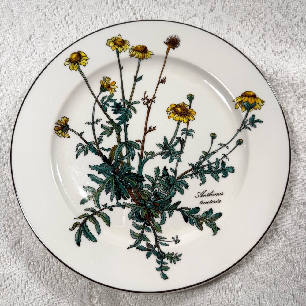 Villeroy & Boch Floral Dinner Plate - White and Yellow